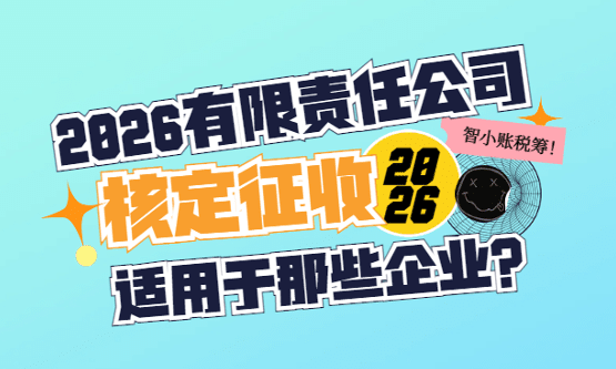 2026有限責任公司核定征收適用于哪些企業(yè)？