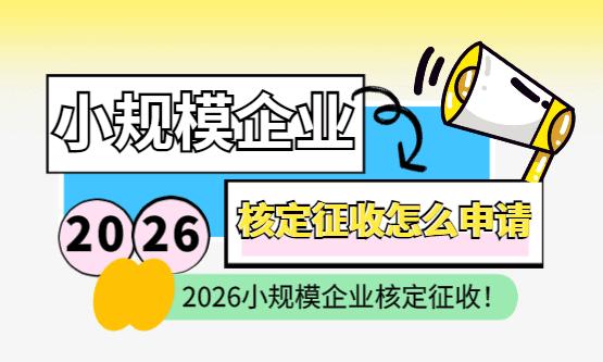 2026小規(guī)模公司核定征收政策標準！