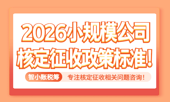 2026小規(guī)模公司核定征收政策標準！