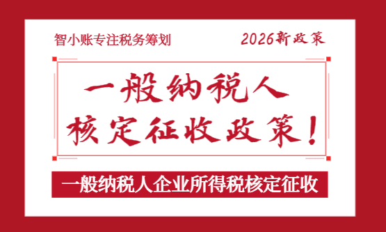2026一般納稅人企業所得稅核定征收政策！